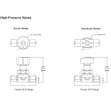 Diaphragm Valves-DV5 Series