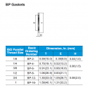 BP Gasket