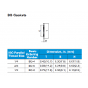 BG Gasket