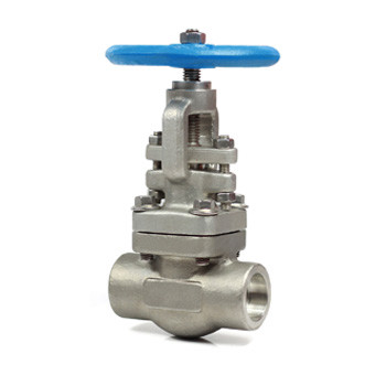 Globe Valves-GL2 Series